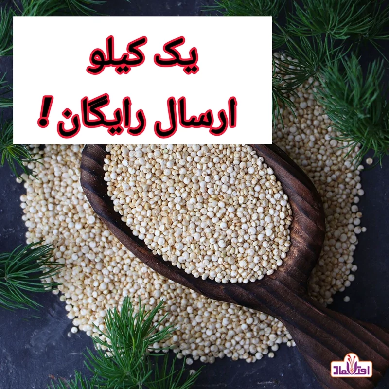 کینوا سفید خارجی اعتماد روشن و اعلا 