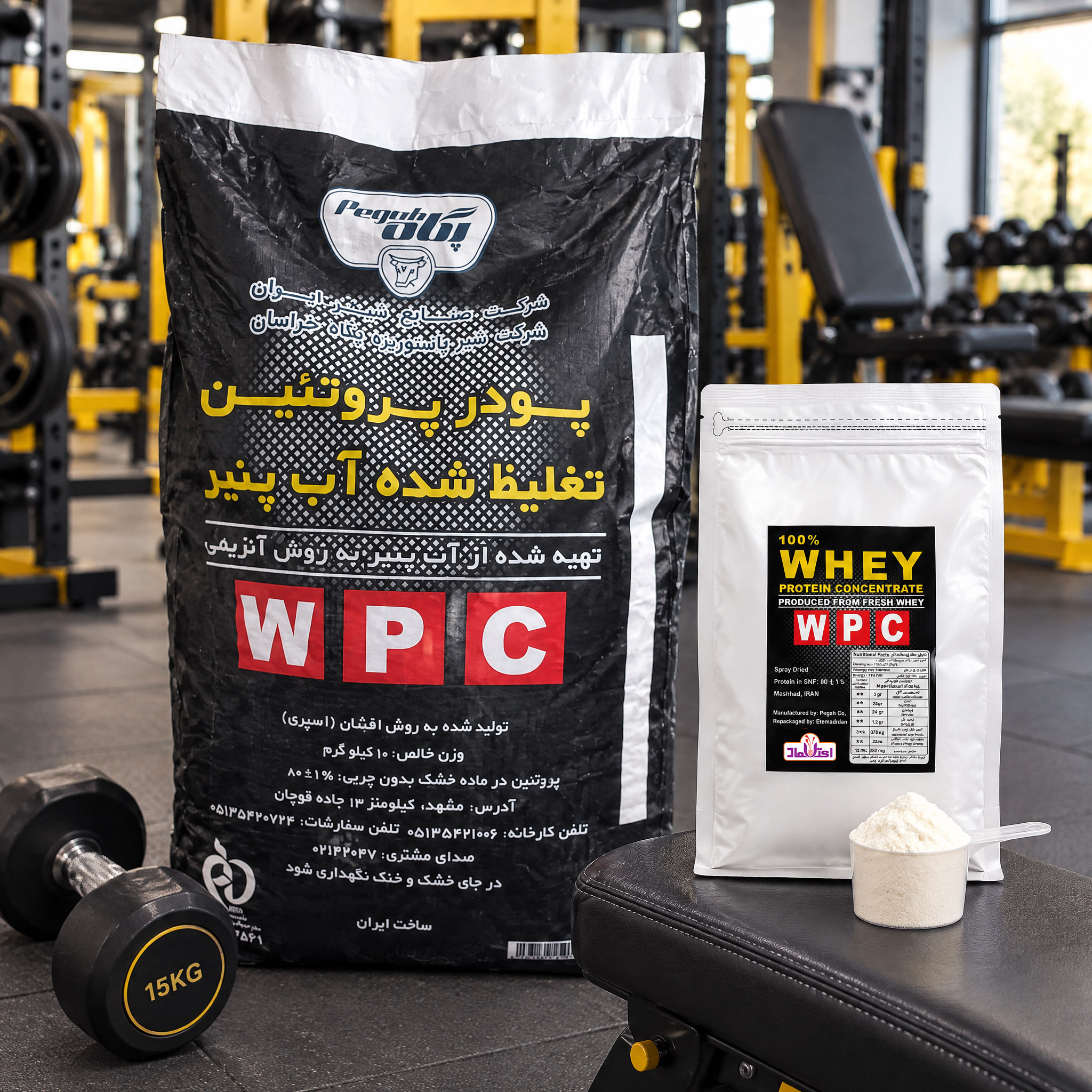 پودر آب پنیر تغلیظ شده پگاه ( پروتئین وی 100 درصد )