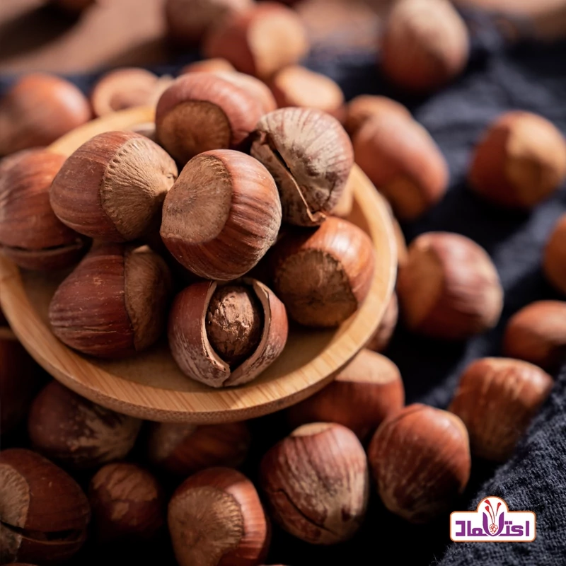 فندق خام تازه و کم خطا