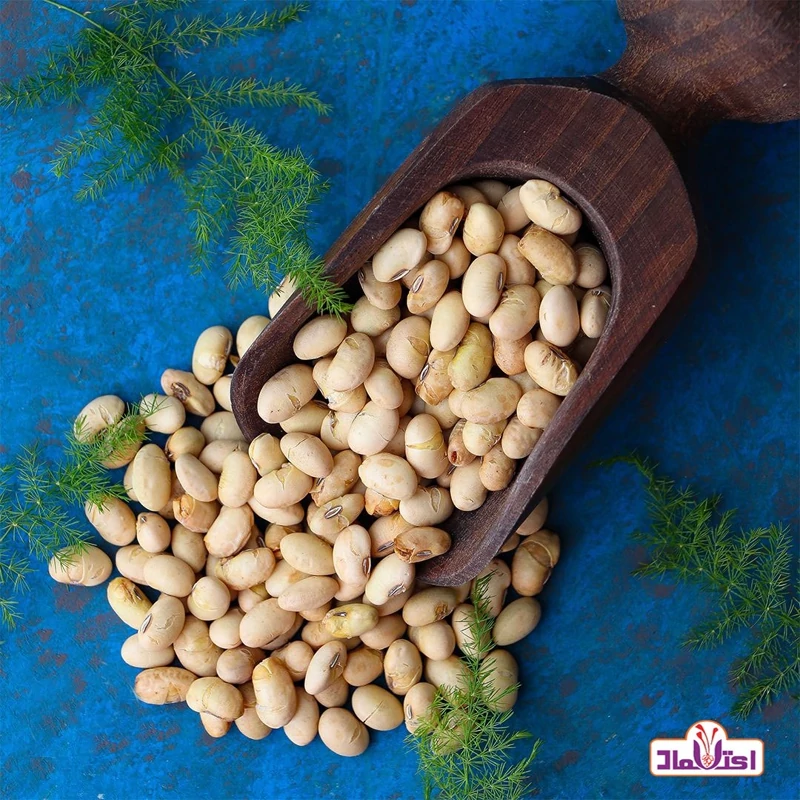 سویا آجیلی تازه ترش نمکی و خوش طعم