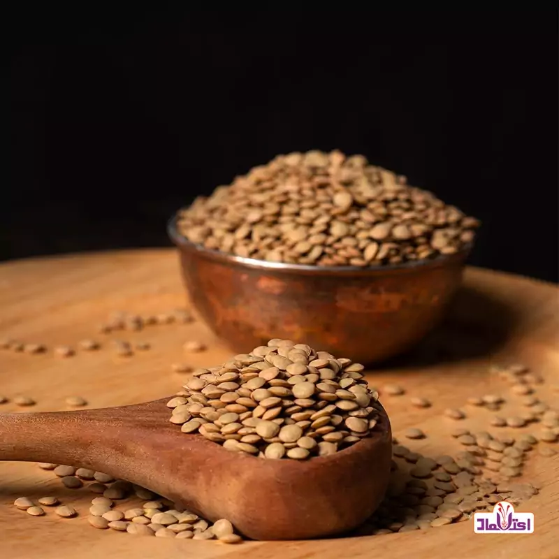 عدس ریز