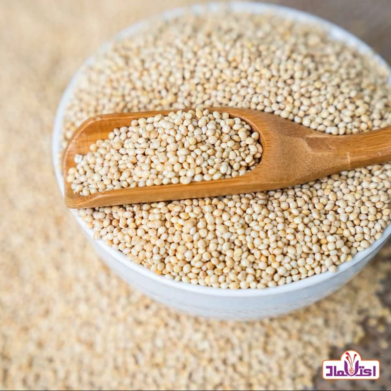 ارزن ریز اراک مناسب فنج و قناری