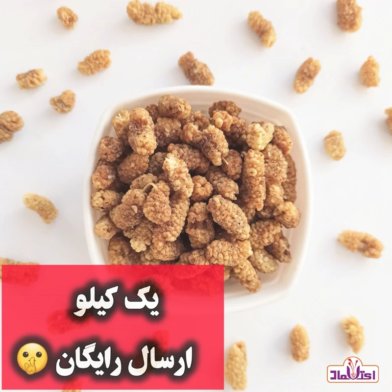 توت خشک نرم امسالی و شیرین و روشن