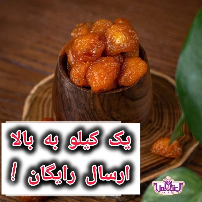 آلو بخارا گوشتی تازه و خوشمزه(آلوخورشتی)