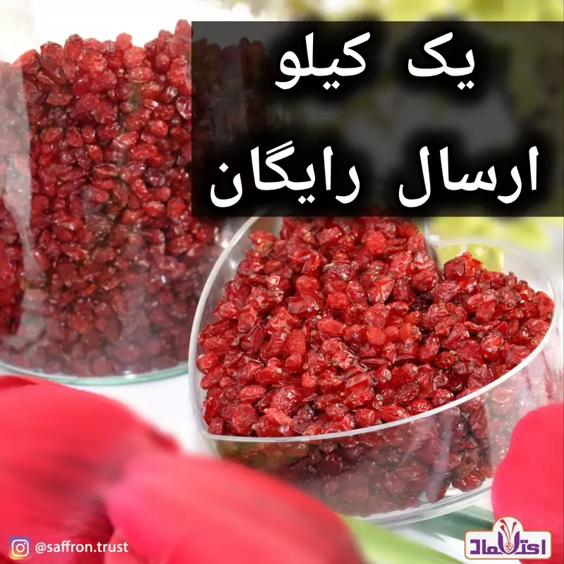 زرشک پفکی اعلا امسالی رنگ روشن دانه درشت