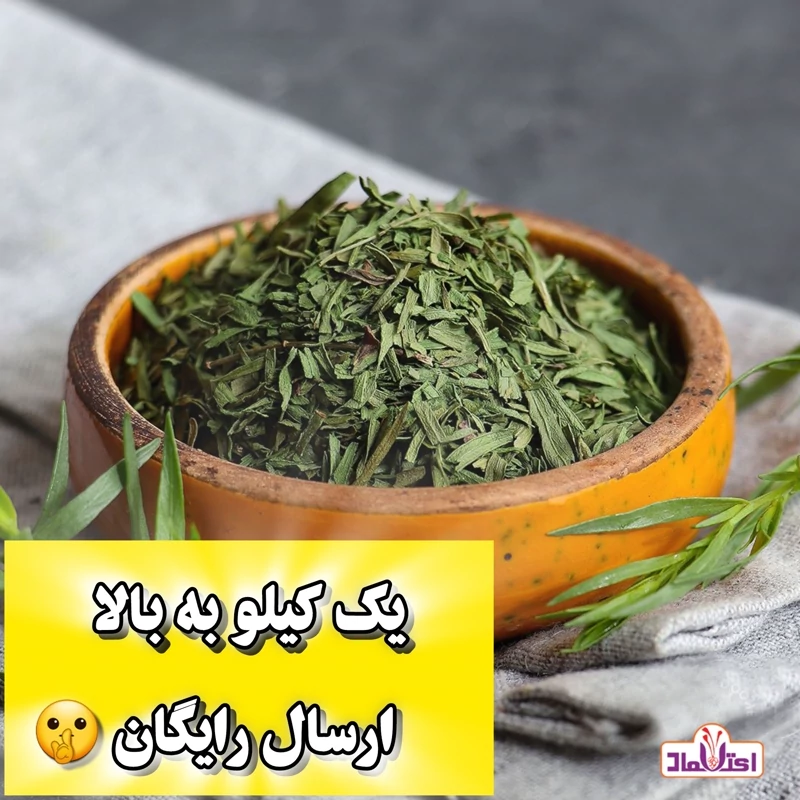ترخون خشک اعلا تمیز و سبز ( سبزی ترخون )