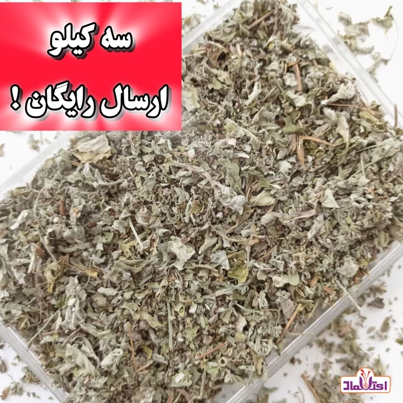 پونه کوهی خشک تازه و اعلا (پونه خشک)