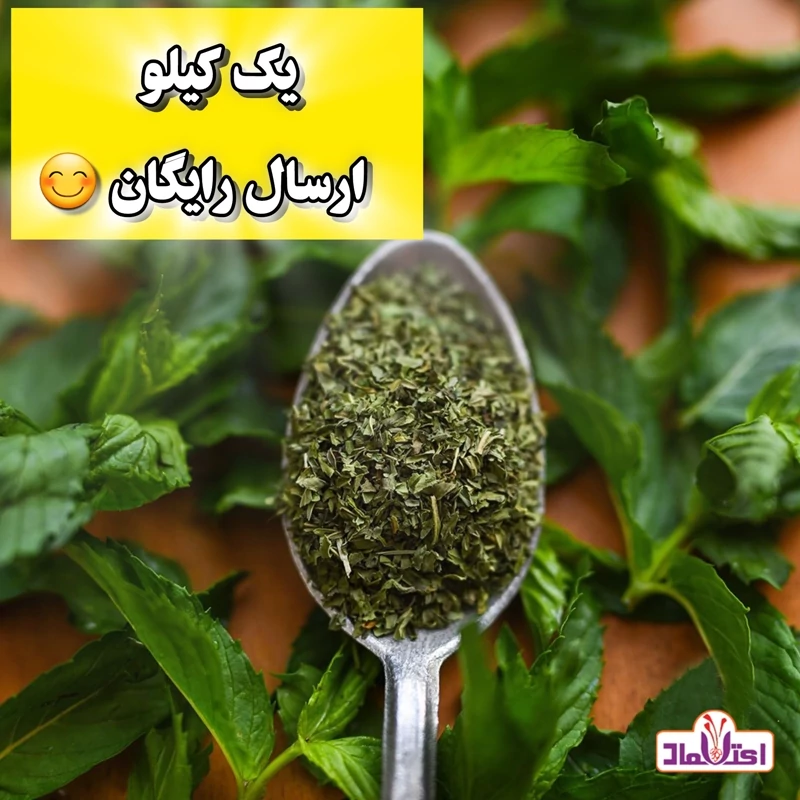 نعنا خشک اعلا (نعنا خرد شده)(نعنا بلغور)