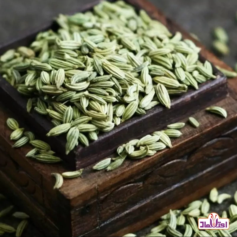 رازیانه اعلا امسالی و کاملاتمیز(بادیان)