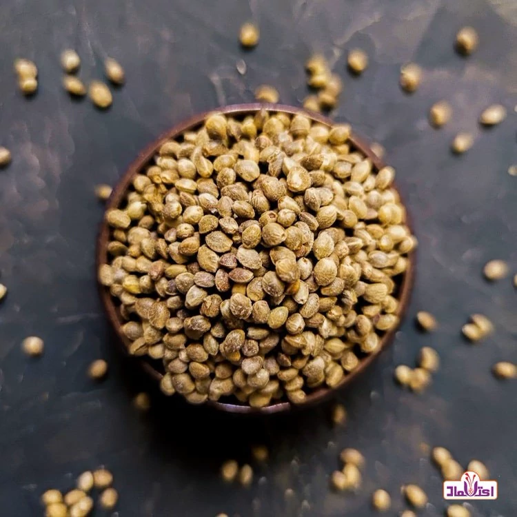 شاهدانه اعلا (شادانه ) (شادونه )