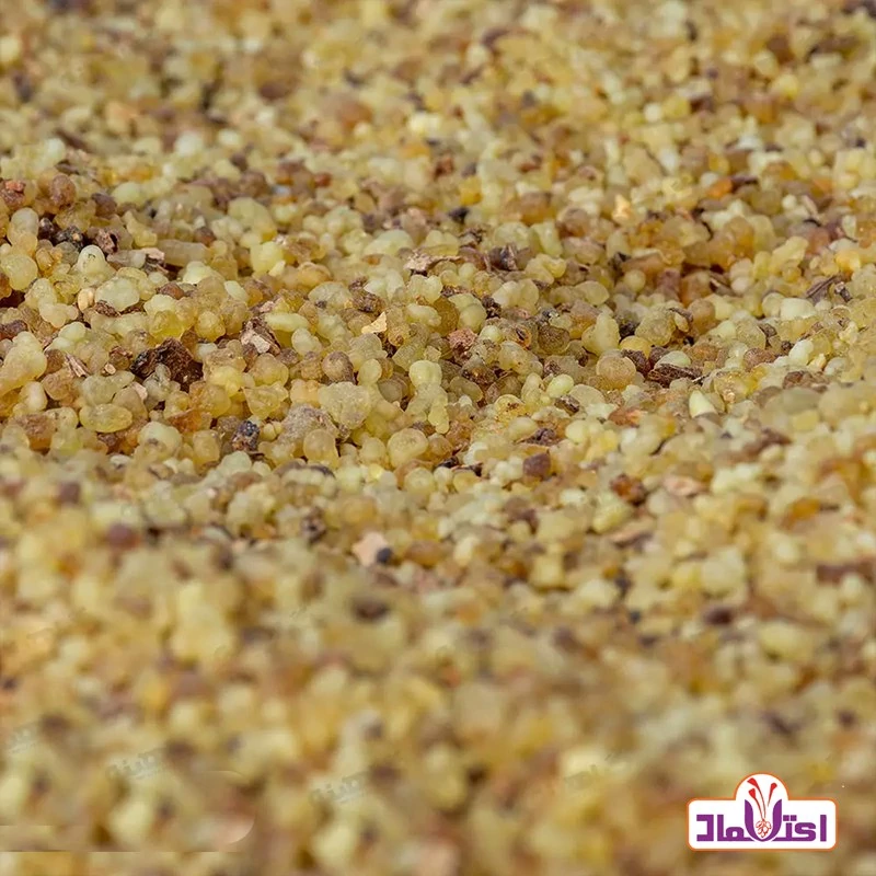 عود کندر آتشی کندر دودی