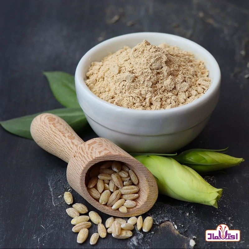 سویق گندم 120 گرمی تازه و مقوی